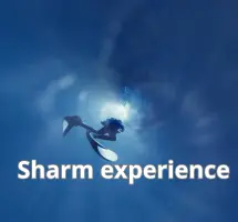 shark